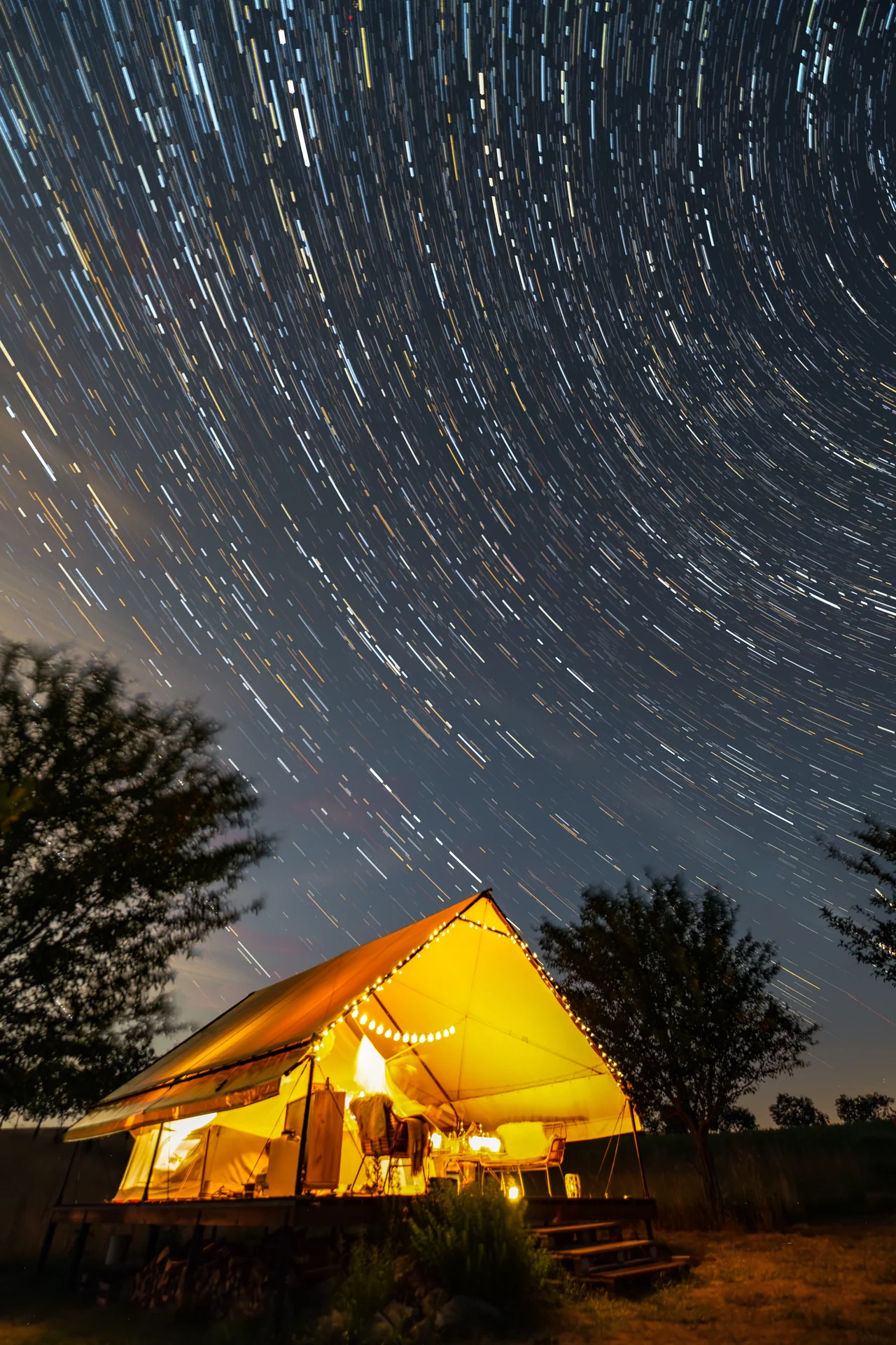 Flower strips in summer, and the glamping