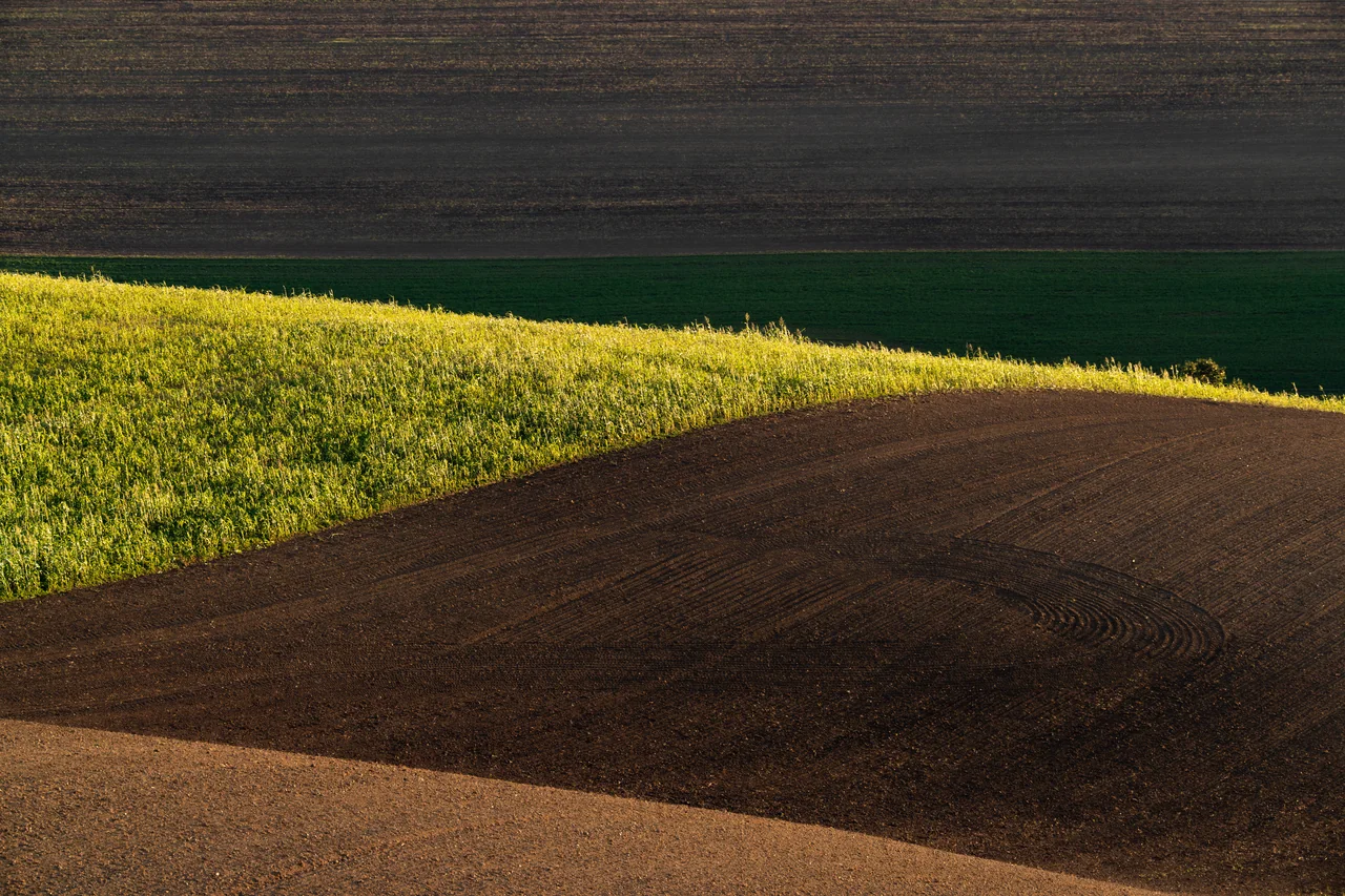 The South Moravian landscape