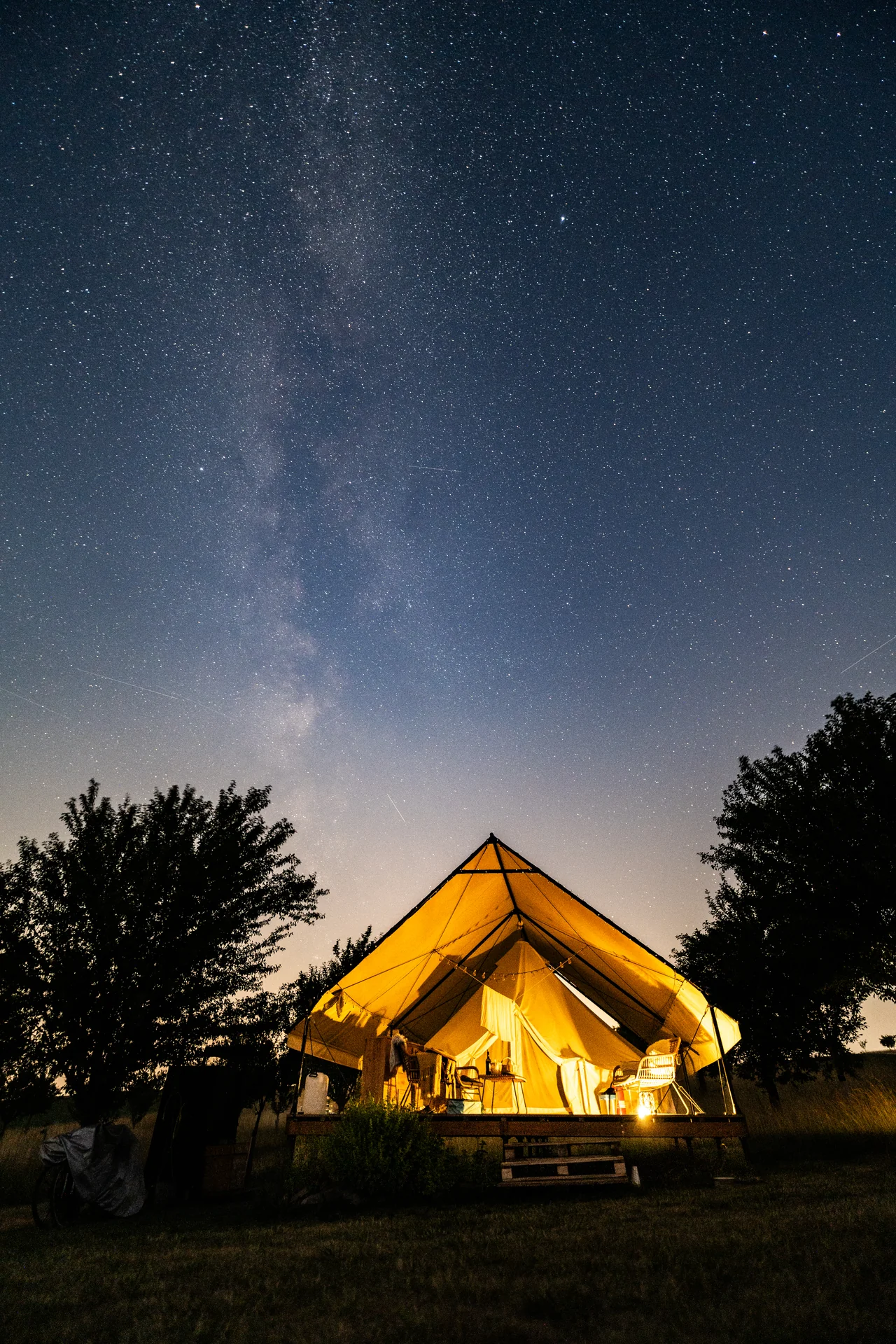Flower strips in summer, and the glamping