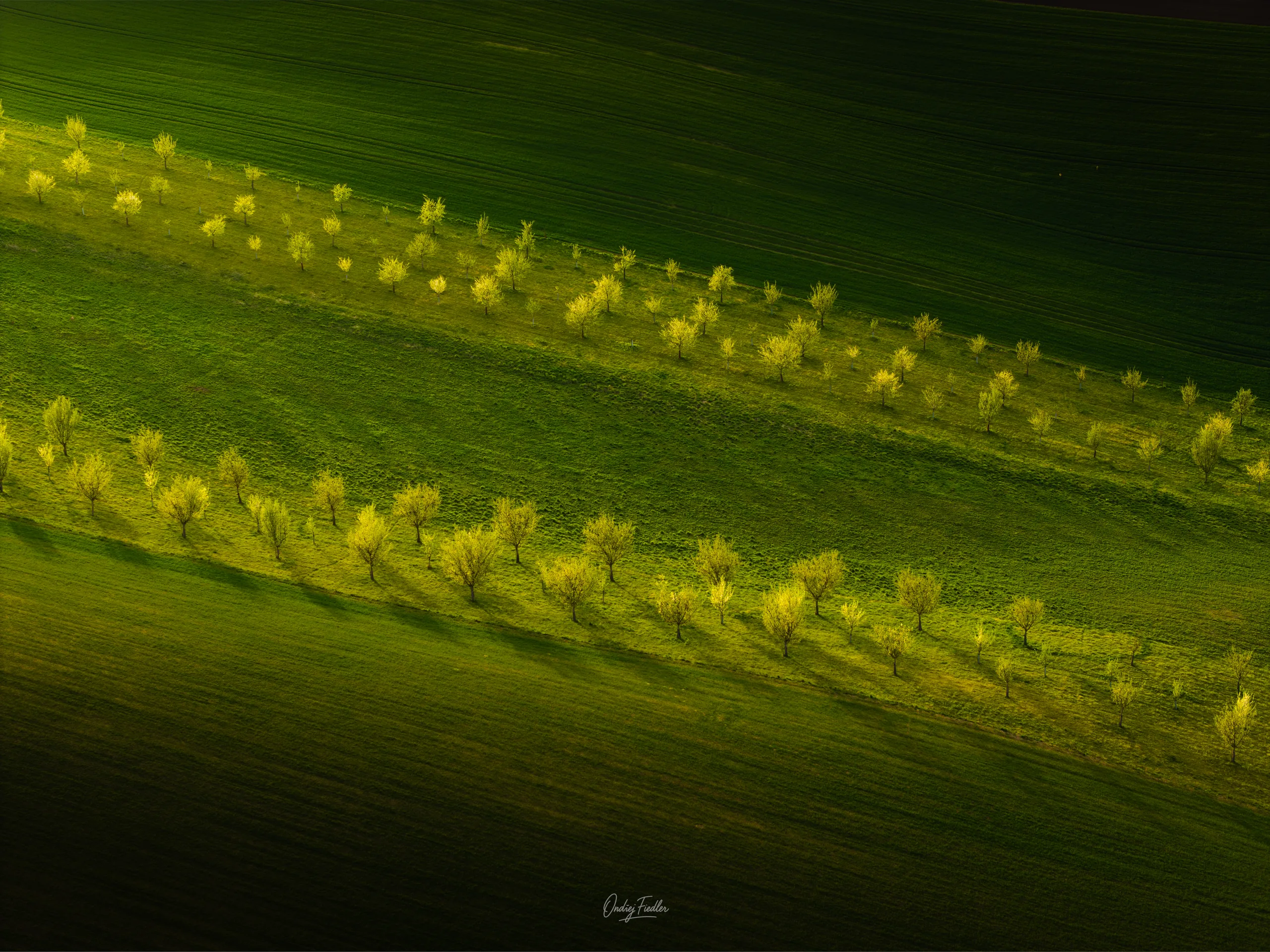 South Moravia
