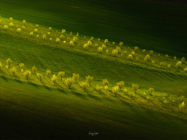 South Moravia