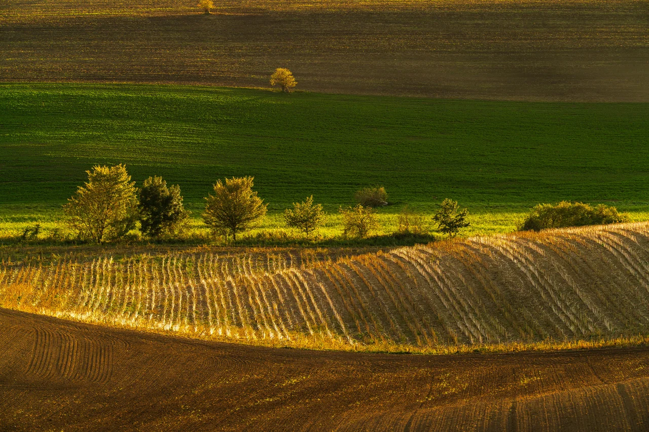 The South Moravian landscape