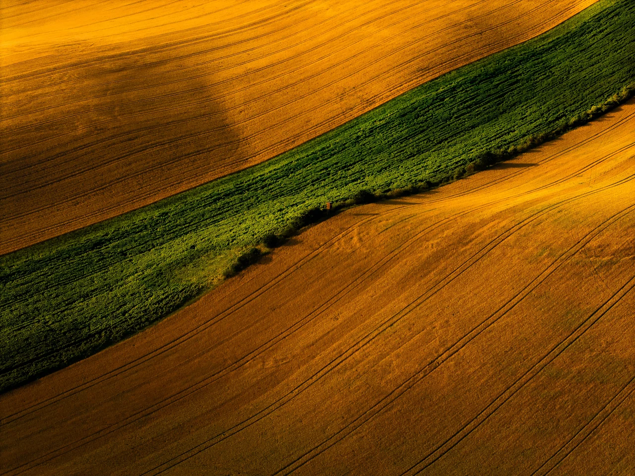 The South Moravian landscape