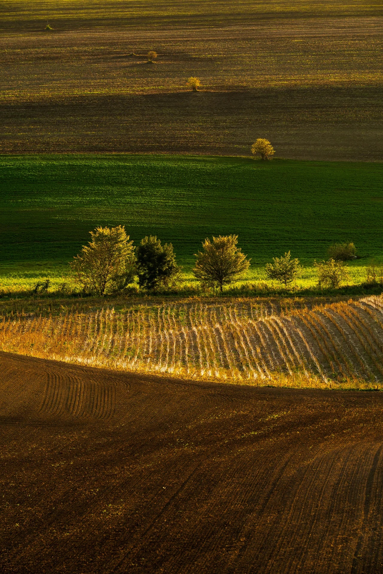 The South Moravian landscape