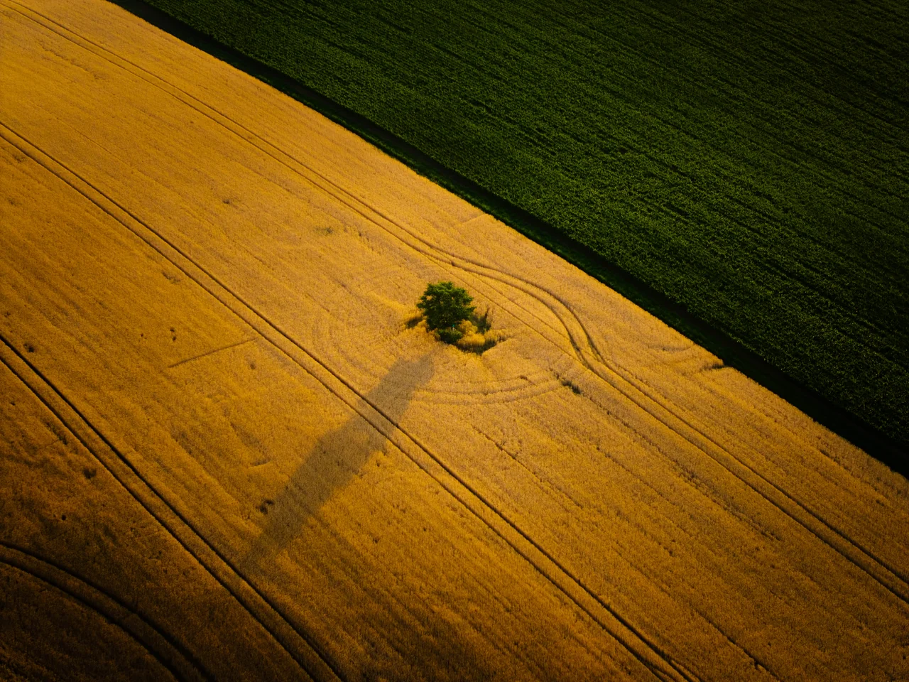 The South Moravian landscape