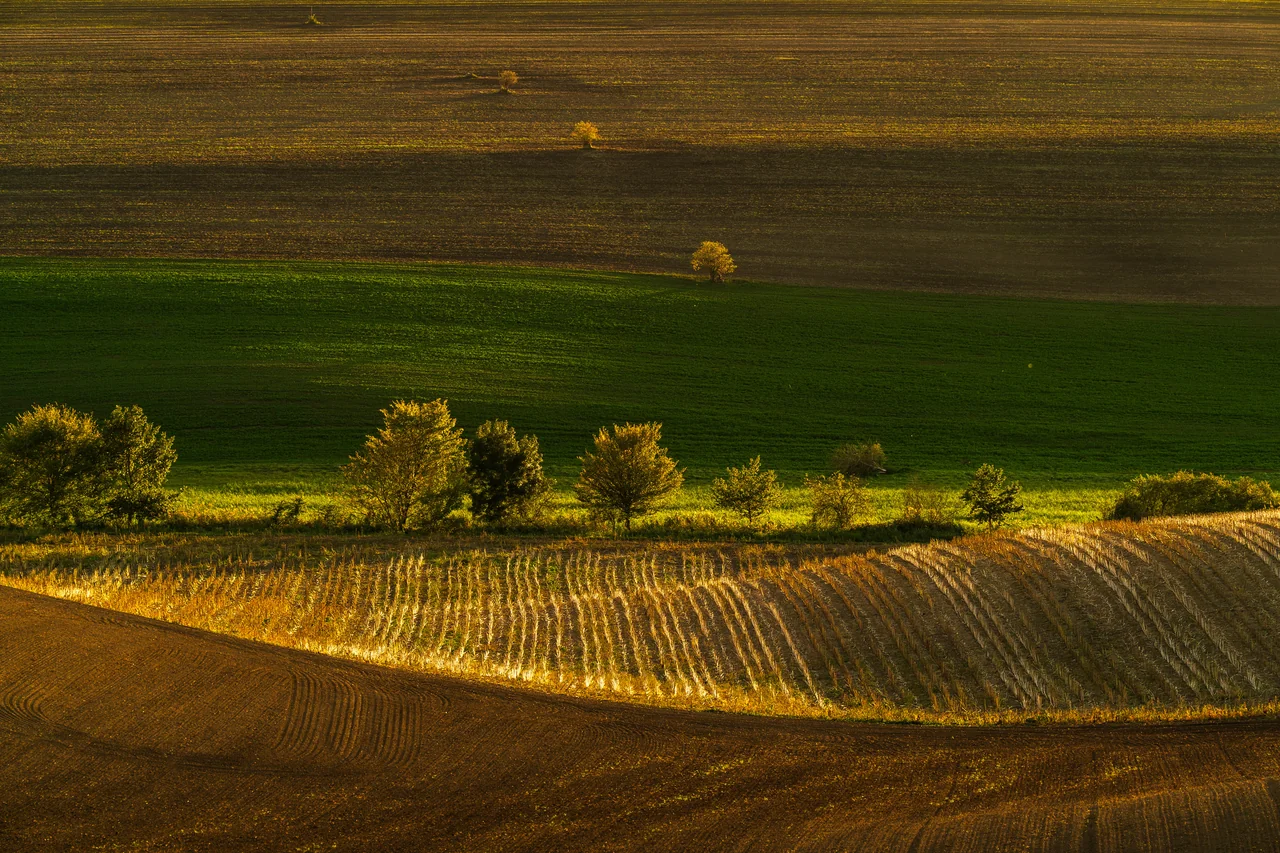 The South Moravian landscape