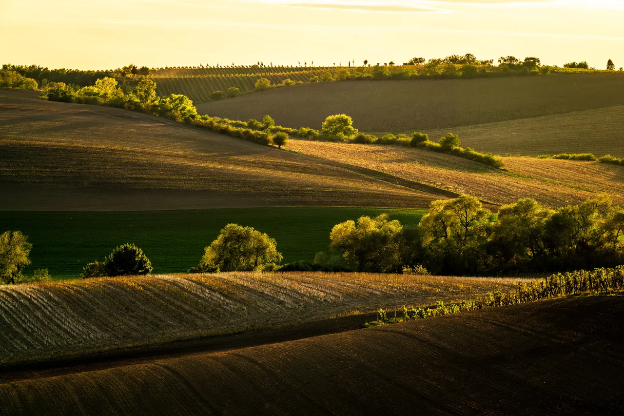 The South Moravian landscape