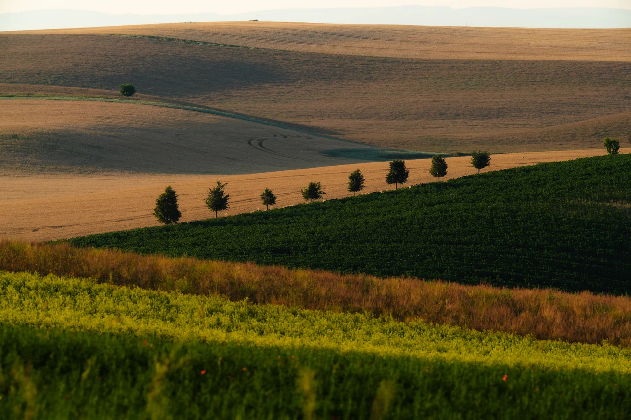 The South Moravian landscape